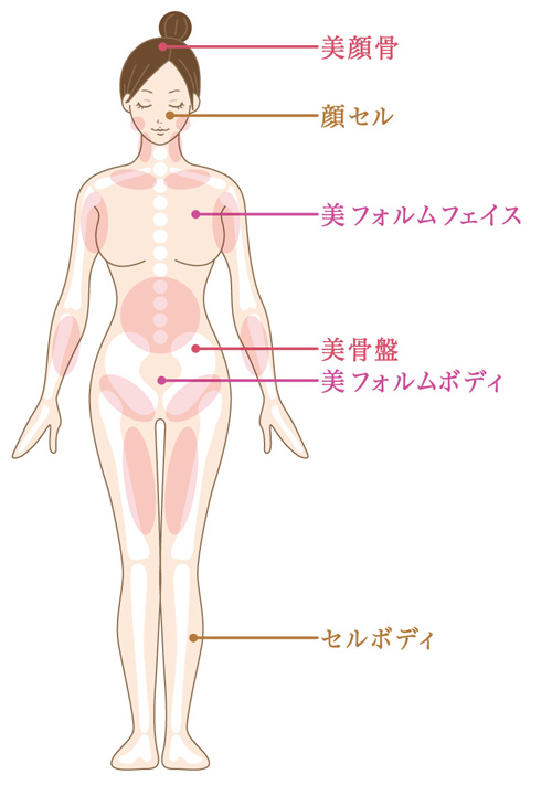 LEBOME/リボームアプローチ箇所＆美ホルモンテクニック